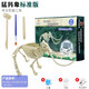 同帆恐龍化石考古挖掘玩具霸王龍翼龍骨架拼裝模型兒童手工DIY男禮物 猛犸象標(biāo)準(zhǔn)版