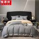 恒源祥四件套全棉純棉2025新款輕奢高級感4件套床單笠學(xué)生宿舍床上用品 中灰【100%純棉不掉色不起球】 1.8*2.0床四件套被套200×230cm
