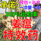 姜瘟清生姜專用藥大姜一撒清枯萎黃葉爛脖子根腐姜菌清微生物菌劑 1袋裝【姜瘟病全治】