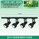 光聯(lián)天下光聯(lián)天下30W植物生長燈LED軌道射燈全光譜自然光綠植景觀墻補(bǔ)光燈 全光譜5000K-48°/1.5米+4燈 P02/30W