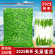 香茗鮮 2025新茶特級全芽雀舌綠茶茶葉明前頭采嫩芽罐裝250g