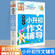 小學(xué)生小升初作文輔導(dǎo) 黃岡作文 三四五六年級3-4-5-6年級8-9-10-11歲適用滿分作文大全