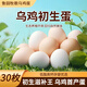魯園牧歌【熱賣(mài)】農家散養烏雞蛋 寶寶喜蛋 高硒營(yíng)養 京東極速達30枚 30枚/箱