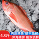 漁哥戲魚深海紅石斑魚 富貴魚冰島冷凍大眼魚石斑魚生鮮魚類 大號(hào)紅石斑魚 【750-800g*3條】