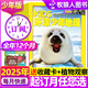 kids環(huán)球少年地理少年版雜志2025年1-7.8月現(xiàn)貨【全年/半年訂閱/2024年1-12月可選】美國國家地理6-12小學(xué)生青少年兒童科普百科非過刊K 【贈植物觀察盒】全年訂閱25年1-12月