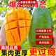 大青芒果新鮮大芒果生吃清脆大青芒果整箱10斤新鮮包郵 帶箱5-6斤【大果】