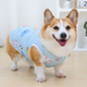 寵物狗狗衣服夏季薄款透氣背心柯基柴犬比熊小型犬中型犬春款服裝 淺藍(lán)兔子 2XL【建議17-21斤】