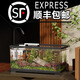 BARBAROUS GROWTH2025新款家用亞克力一體透明觀賞金魚(yú)缸小型客廳桌面塑料溪流造景 中號(hào)【底排缸】 黑色-【高清一體式魚(yú)缸】