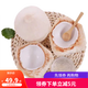籃子掌柜海南三亞椰青新鮮去皮椰子當(dāng)季熱帶水果椰子汁整箱大果 4粒裝【配開(kāi)椰器+吸管】