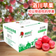 洛川蘋(píng)果（luochuanapple）【順豐】正宗陜西延安洛川蘋(píng)果陜西蘋(píng)果產(chǎn)地直發(fā)脆甜多汁能帶皮吃 24枚75mm中小果顆顆優(yōu)選蘋(píng)安喜樂(lè )