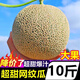 海南網(wǎng)紋蜜瓜新鮮超甜新冰淇淋網(wǎng)紋靜岡密瓜玫瓏蜜瓜 【軟糯香甜優(yōu)選大果】 2斤試吃小果