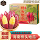 南步海南澄邁橋頭地瓜【富硒地瓜】金手指板栗薯紅薯新鮮番薯現(xiàn)挖山芋 5斤 精品中果【單果2-4兩】