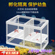 魚缸隔離盒孔雀魚小魚隔離網(wǎng)魚缸魚苗孵化繁殖網(wǎng)罩母魚產(chǎn)房熱帶魚 大號(hào)-紗網(wǎng)隔離盒【無隔板】