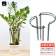 九千谷 植物支撐架支撐支架園藝花架陽臺爬藤護葉半圓30*50CM 2對裝6416