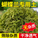 花大師青苔水苔蝴蝶蘭專用土干苔蘚蘭花營養(yǎng)土植料盆栽鋪面天然種植透氣 特優(yōu)青苔2斤 同品質(zhì) 散開60升