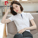 皮爾卡丹（pierre cardin）小立領(lǐng)短袖白色襯衫女夏2025春款職業(yè)工作服修身圓領(lǐng)工裝面試襯衣 2024白色2025 L