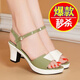 大東爆2025新款一字帶粗跟涼鞋女中跟拼色防滑民族風(fēng)魚(yú)嘴露趾媽媽皮涼鞋 綠色 升級款 38