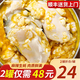 ?；蕿成柟揞^麻辣蒜蓉新鮮冷凍大生蠔肉即食熟食 牡蠣肉生鮮250g/罐 麻辣生蠔肉 半斤/罐 （2罐裝）