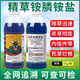 精草銨磷雜草除草劑果園茶園雜草開(kāi)荒非耕地小飛蓬節節草牛筋草 整箱1000克*12瓶送120袋助劑 速草霸精草雜草除草劑
