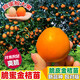 脆蜜金桔苗脆皮金桔樹(shù)苗新品種脆蜜金柑無(wú)籽新品種融安大甜果樹(shù)苗 脆蜜金桔(大果) 兩年苗帶土帶葉發(fā)貨