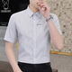 花花公子（PLAYBOY）短袖襯衫男士休閑條紋襯衣男夏季高端商務(wù)外套男裝潮流上衣服