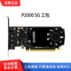 英偉達(dá)（NVIDIA）全新英偉達(dá)P2000麗臺P1000盒裝P2200 5G建模渲染專業(yè)設(shè)計繪圖顯卡 P2000 5G 工包