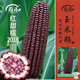 壽禾 甜糯玉米種子苗黑紅大棒加糯蔬菜種籽 紅甜糯2018玉米種子150g