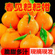 正宗四川春見(jiàn)耙耙柑新鮮應(yīng)季孕婦水果丑八怪丑橘9斤大果整箱 帶箱9斤 特大果人氣香甜多汁