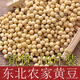 黃豆10斤大袋批發(fā)2024年新黃豆發(fā)豆芽的黃豆散裝發(fā)黃豆芽專(zhuān)用豆黑 精選黃豆(10斤裝)優(yōu)質(zhì)新豆 黑龍江綠色產(chǎn)品
