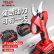 德力西電氣（DELIXI ELECTRIC）電動(dòng)修枝剪手持式果枝剪果樹園林家用綠化充電式剪刀便攜戶外剪枝 升級(jí)款【4.0Ah】2電