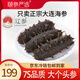 頤參嚴選正宗即食海參500g 鮮遼參 固形物≥75% 開(kāi)袋可吃 口感勁道營(yíng)養佳 1斤【9-11只大連海參】