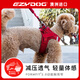 EZYDOG澳洲進(jìn)口狗狗嗨輕胸背帶3D立體透氣輕量舒適體感牽引繩中小型犬 旭日紅 M【體重5-9KG|胸背40-46cm】 專(zhuān)為中小型犬打造| 輕量舒適貼膚