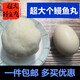 福州特產(chǎn)包心鰻魚丸超大拳頭魚丸灌湯小魚丸手工魚丸海鮮火鍋食丸 超大魚丸480g(5個(gè)裝）