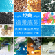 BESSN魚缸底砂造景沙石頭天然底沙水族箱裝飾白沙子鵝卵石陶粒砂小石子 水湖藍石子 5斤 6~12毫米