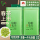 雙碑綠茶信陽毛尖500g2025年新茶罐裝濃香型春茶自己喝自飲送手提袋