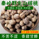 秦嶺野外生薄皮干核桃手工脫皮不漂白不水洗陜西秦嶺農家清香核桃 精選大果5斤[天然曬干/送夾子]