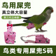 哇米小太陽(yáng)鸚鵡專(zhuān)用衣服牡丹玄鳳屎屁兜紙尿褲尿布鳥(niǎo)類(lèi)尿不濕防拉屎 【S碼】虎皮/牡丹類(lèi)/太平洋鸚鵡