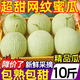 柏饞海南網(wǎng)紋瓜 冰淇淋玫瓏蜜瓜糯甜瓜海南新鮮水果熱帶年貨禮盒 9斤優(yōu)選【3-6個】凈重8.5斤
