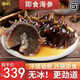 疊嶼 底播刺參高壓即食鮮活冷凍單個(gè)裝大連長海縣深海水產(chǎn)干貨禮盒裝 8-10頭500g