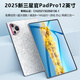 新三星官2025款平板電腦二合一驍龍8全面屏iPad16G+1TB安卓游戲辦公學(xué)習(xí)上網(wǎng)補(bǔ)課看府電影用政補(bǔ)貼電視專場(chǎng) 16G+1TB丨分期免息+定制皮套鍵盤 性能版PadPro柔性屏丨真5G全網(wǎng)通可插卡