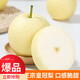 趙州皇冠梨河北皇冠梨脆甜多汁【三】 帶箱9-10斤中大果 帶箱9-10斤中大果