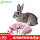 云依禾農(nóng)莊 兔肉白條兔子肉整只 新鮮現(xiàn)宰兔子 凈重1kg 兔肉生鮮