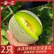 灃御園牛3蜜瓜 冰淇淋網(wǎng)紋蜜甜瓜軟糯香甜禮盒裝日本靜岡品種新鮮水果 2個【6-7禮盒裝】