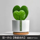綠蔭巷子多肉植物組合套餐肉肉室內(nèi)植物辦公室電腦桌面盆栽好養(yǎng)活小盆栽 【一片心雙份】優(yōu)選 含瓷盆+托