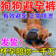 狗狗避孕褲母狗防交配例假生理褲專用狗發(fā)情褲防交配防小狗神器 淺藍色 S碼-小型犬（腰圍24-32cm） 送三個生理棉片