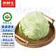 京鮮生&聽蔬 山東 有機綠甘藍2斤 凈重單顆400g+卷心菜有機認證源頭直發(fā)