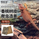 修醫(yī)寵香檳真樹皮爬寵造景雨林缸枯木爬蟲寵物生態(tài)箱素材裝飾攀爬背景板