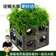 云峰海瑞 陶罐水草躲避罐屋 莫斯水草造景陶罐擺件莫斯蝦窩躲避洞魚(yú)繁殖罐 魔方綁莫斯（6.7x6.7x6.7cm）