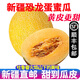 【順豐】新疆吐魯番哈密瓜 火焰山甜瓜 新鮮水果送禮特產(chǎn) 【6-7斤】 2-3個 【恐龍蛋蜜瓜】