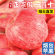 正宗山東煙臺紅富士9斤棲霞蘋果新鮮當(dāng)季水果脆甜冰糖心不打蠟H 甄選5斤中果【75mm-80mm】多汁